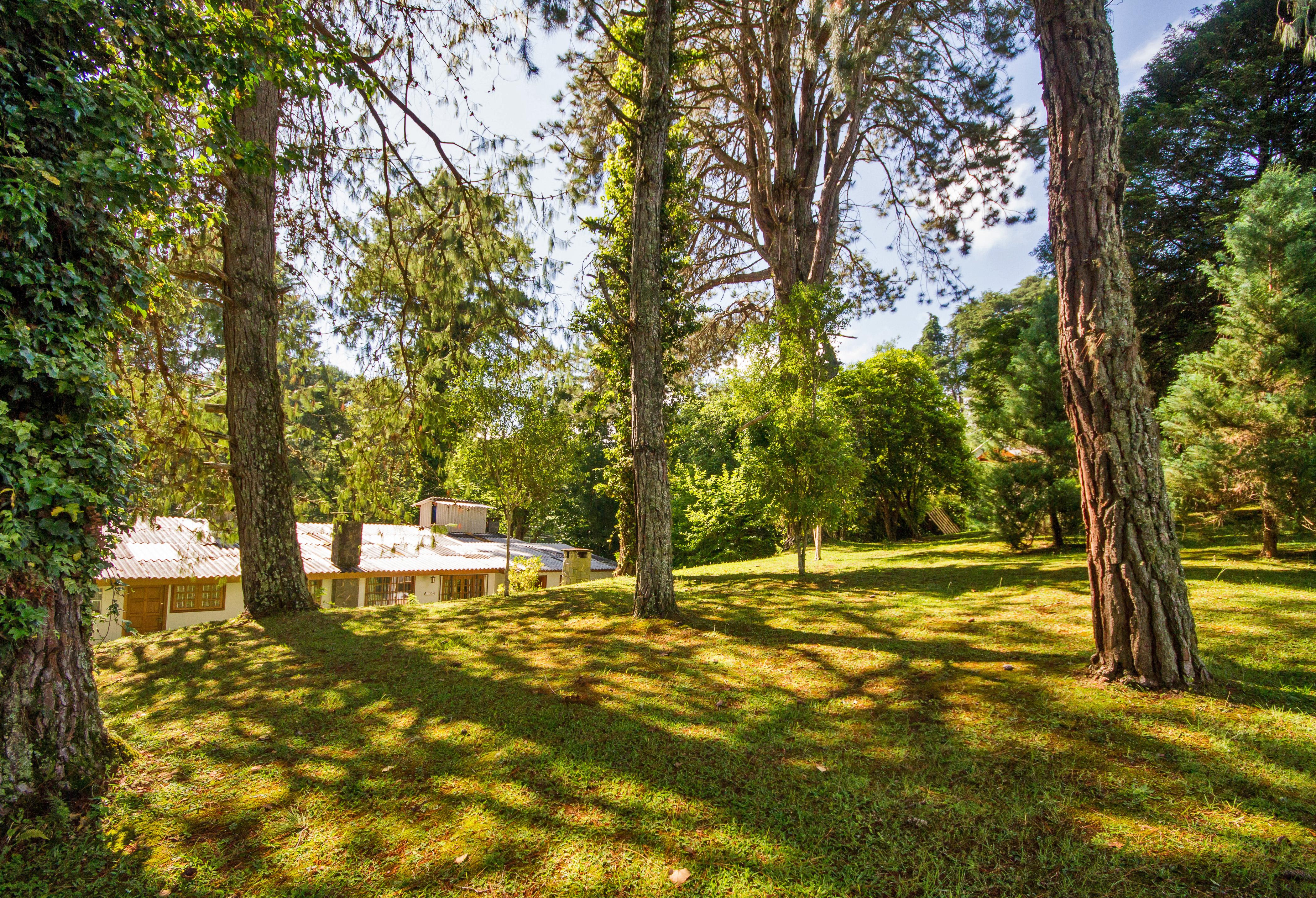 Villa Vintage Campos - Piscina E Opcoes De Suites Com Hidromassagem Campos do Jordão Eksteriør billede